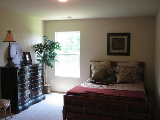 1066 Lehavre Ct, Hampton, GA 30228 photo 24