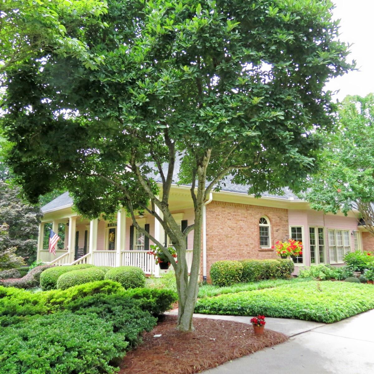120 Shoreline Way, Hampton, GA 30228 photo 2