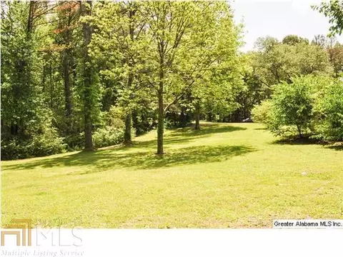 140 1st Ave E, Fruithurst, AL 36262 photo 13