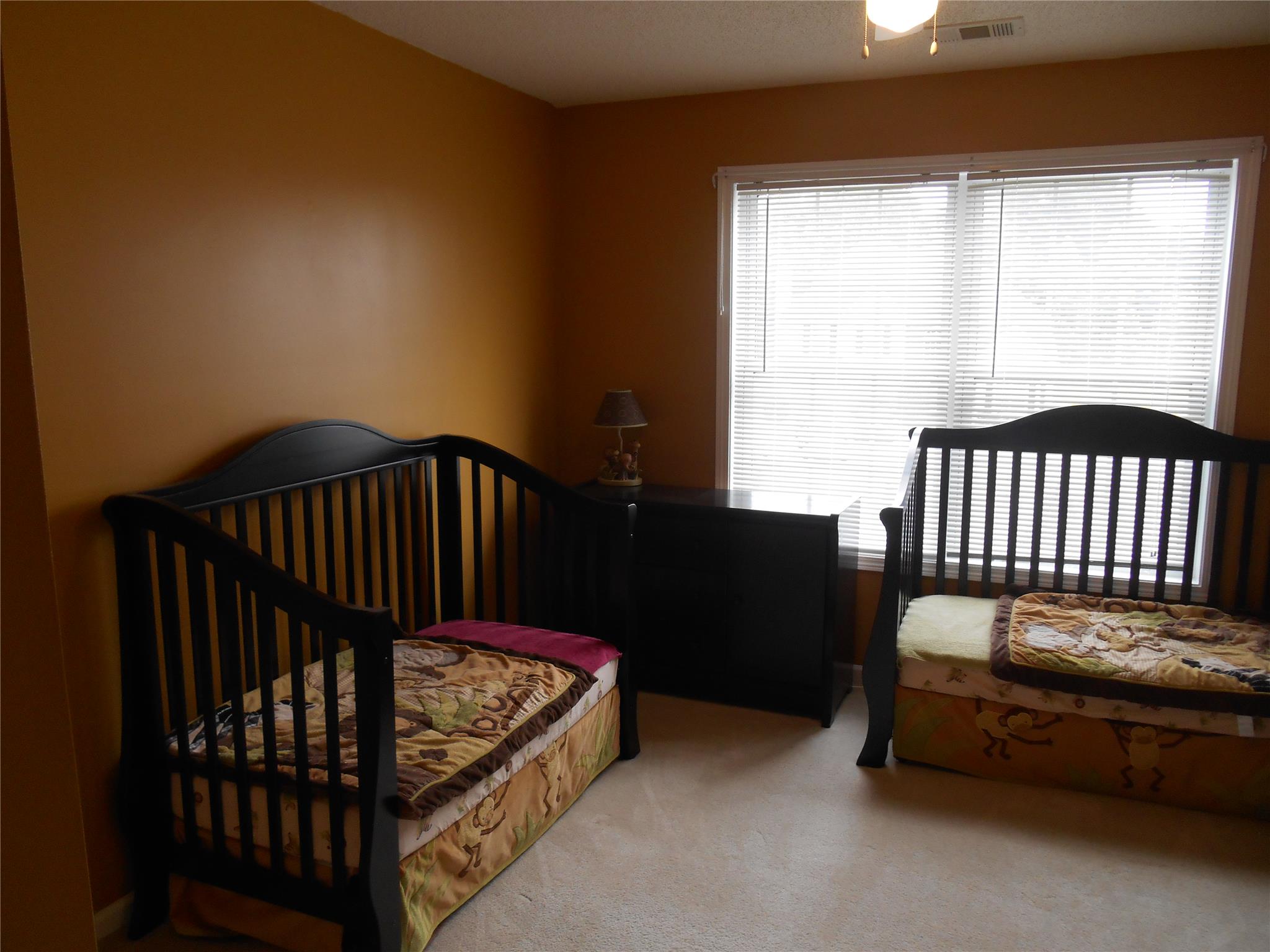 12959 Dunand Blvd, Hampton, GA 30228 photo 11