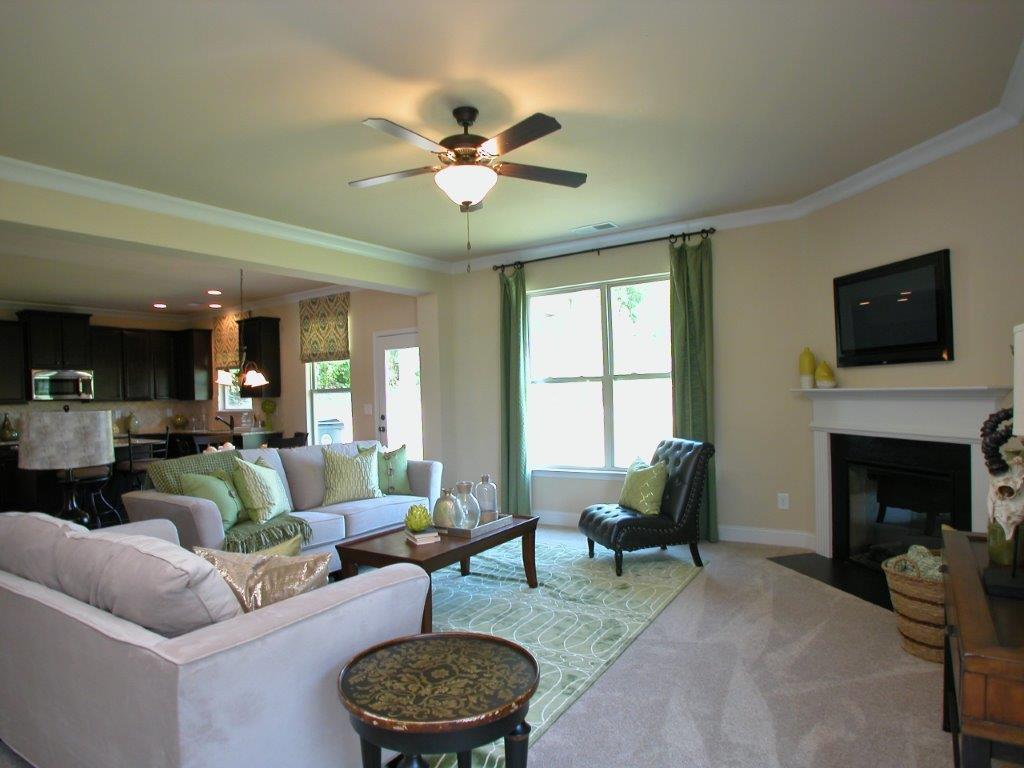 1425 Stone Ridge Ct, Hampton, GA 30228 photo 10