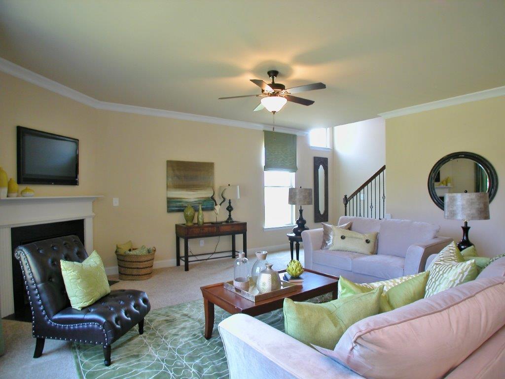 1425 Stone Ridge Ct, Hampton, GA 30228 photo 8