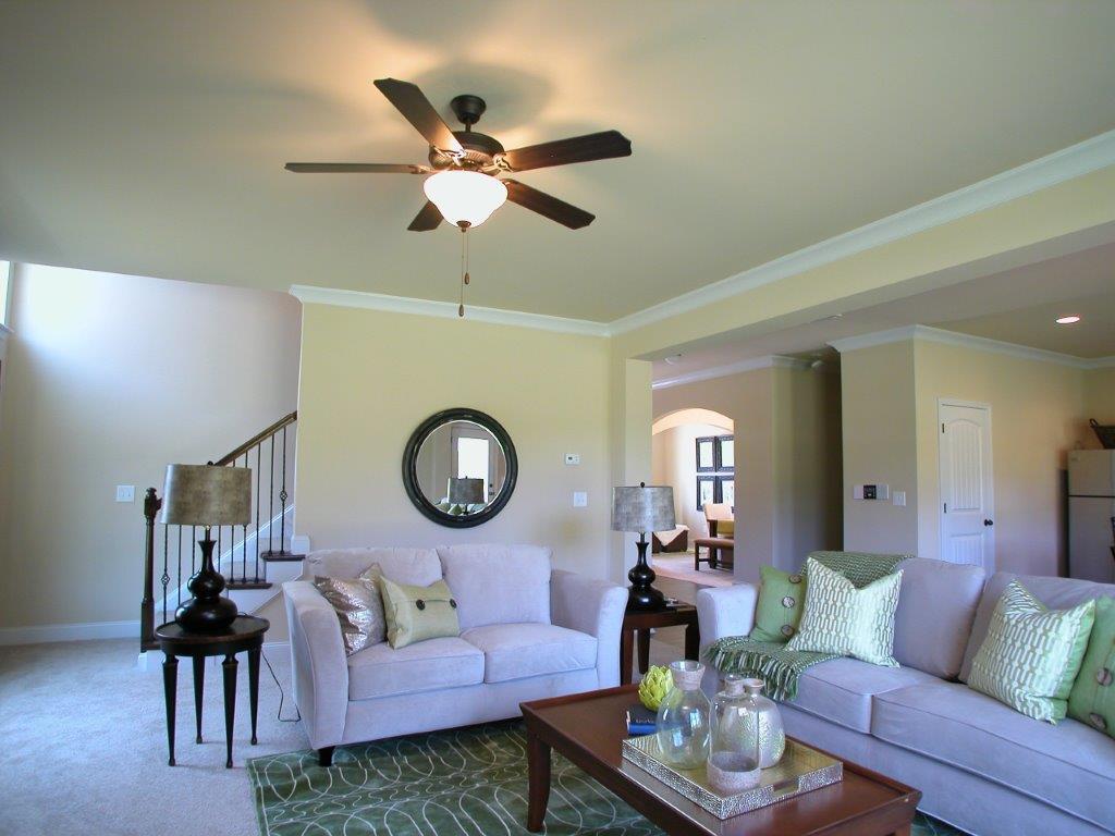 1425 Stone Ridge Ct, Hampton, GA 30228 photo 9