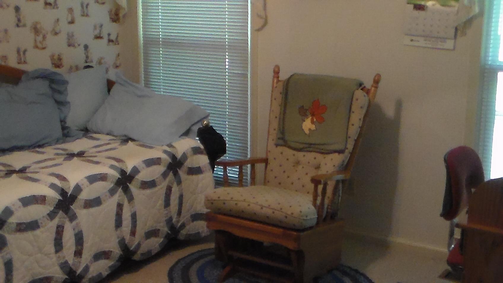 1175 Poss Rd, Comer, GA 30629 photo 7