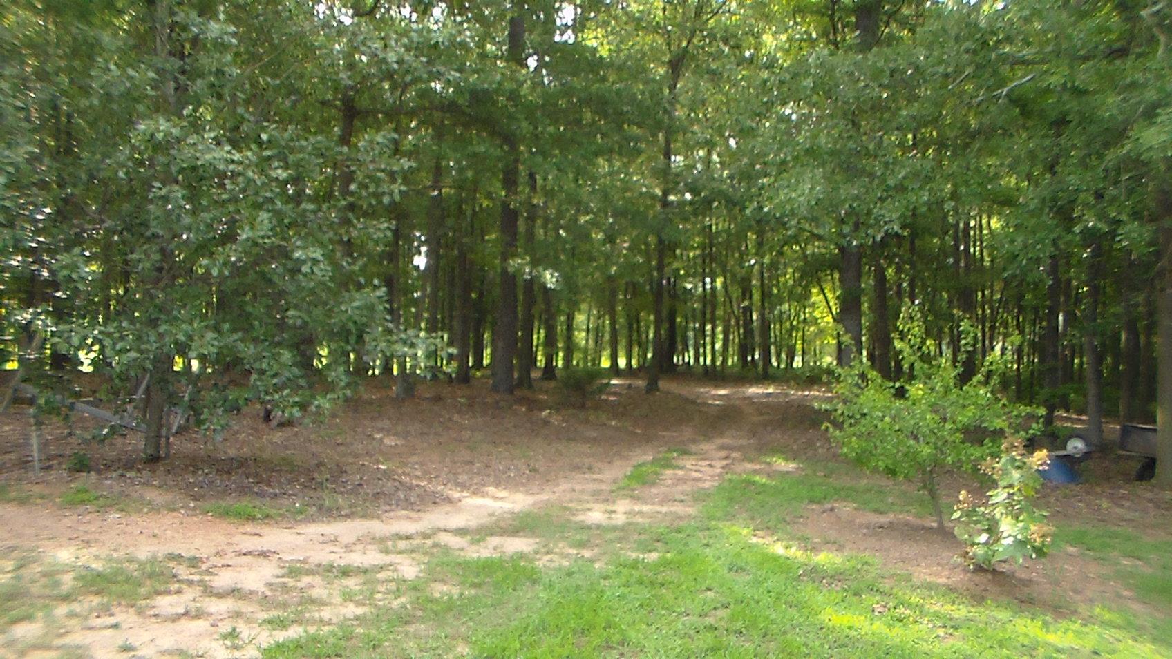 1175 Poss Rd, Comer, GA 30629 photo 16