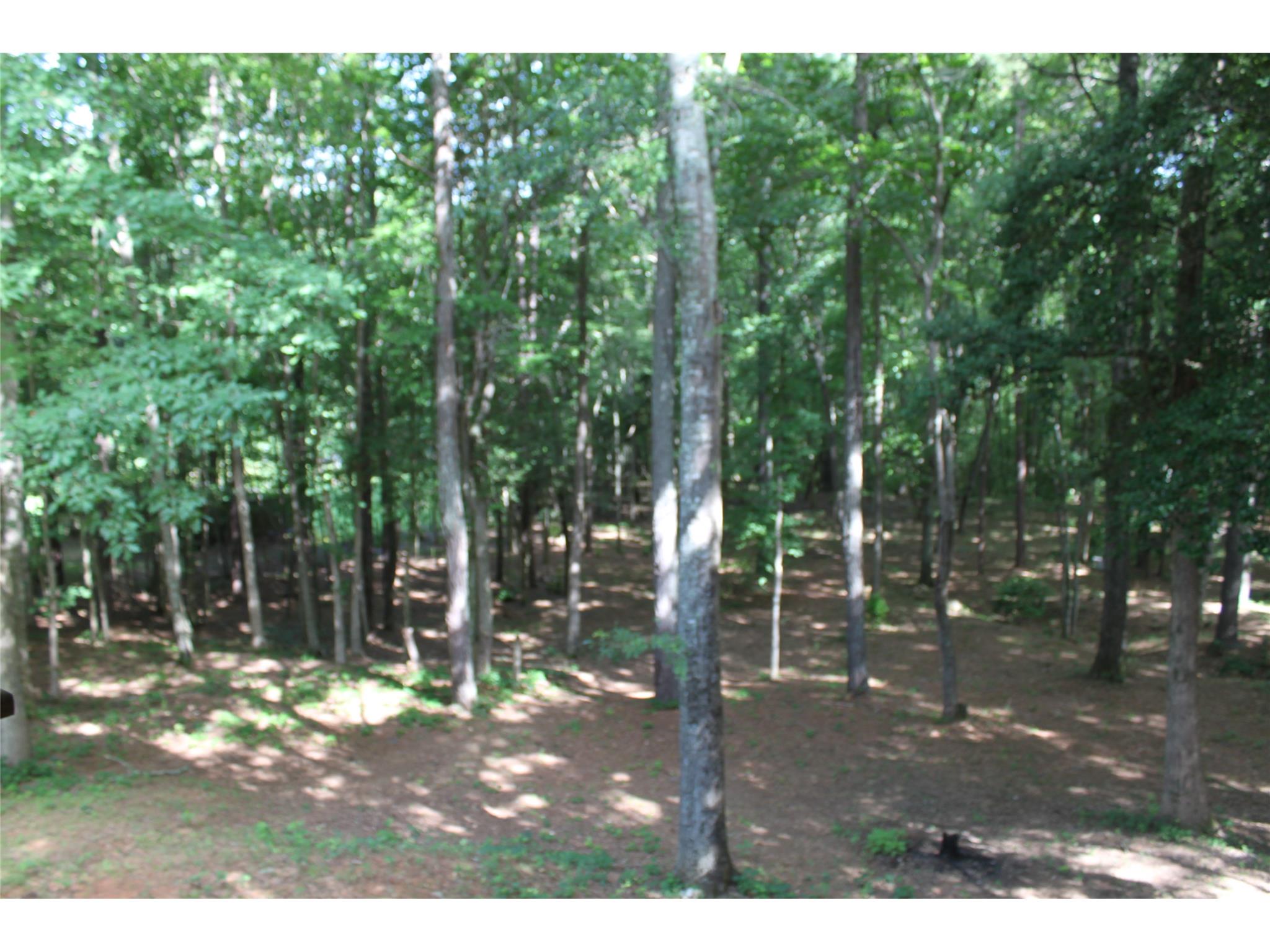 4849 Ridgewood Rd, Monroe, GA 30656 photo 13