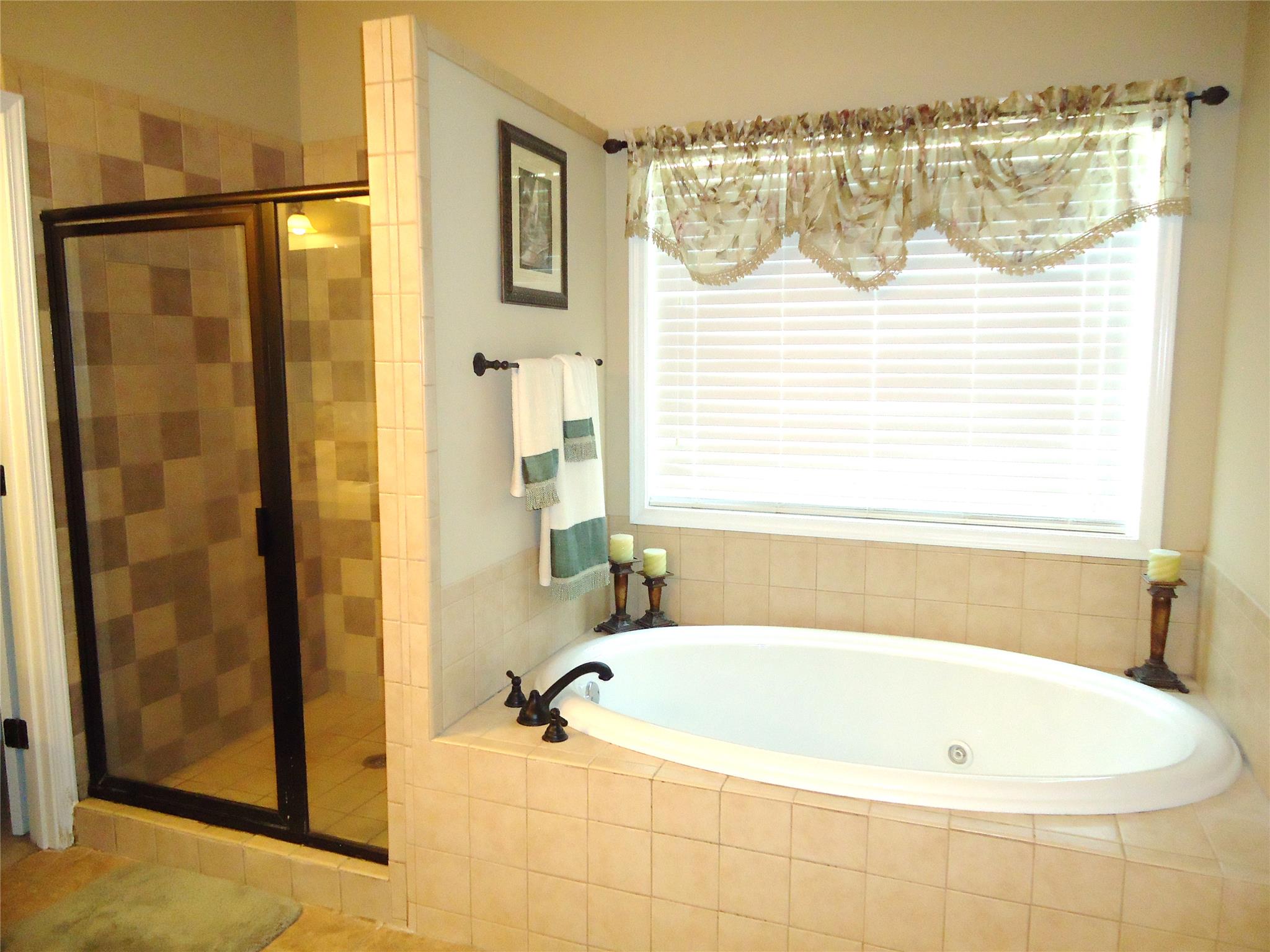 209 Hummingbird Ct, Hampton, GA 30228 photo 12