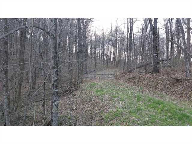 1745 Sunrise Rdg, Jasper, GA 30143 photo 3