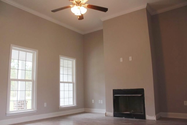 799 Spence Dr, Brooklet, GA 30415 photo 4
