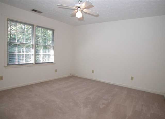 3180 Willow Green Ct, Duluth, GA 30096 photo 16