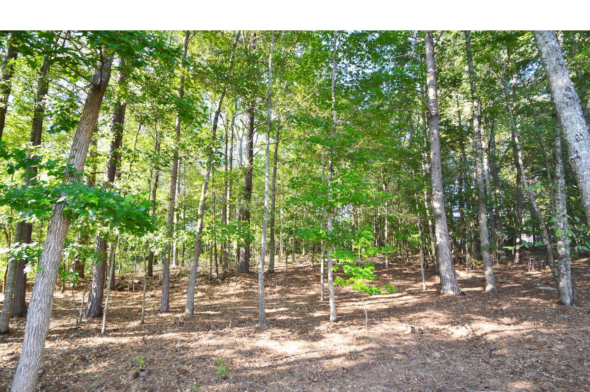 557 Kristin Ln, Winder, GA 30680 photo 25