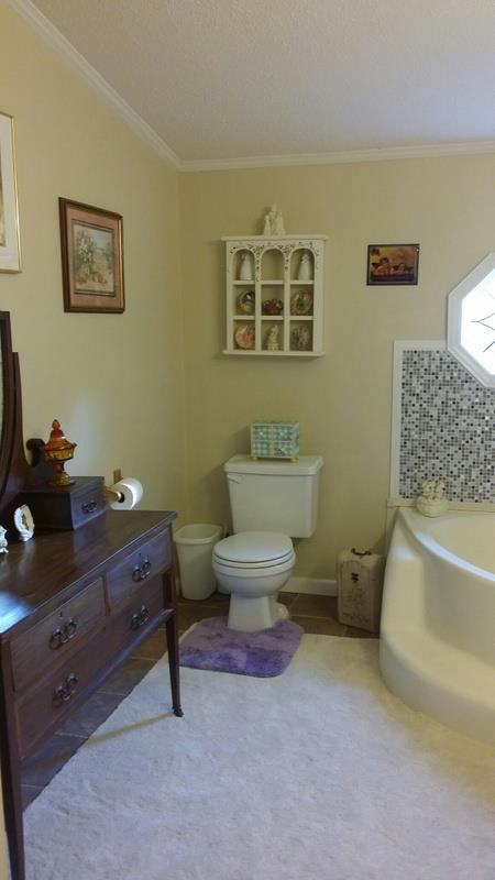 3205 Baker Rd, Gainesville, GA 30507 photo 22