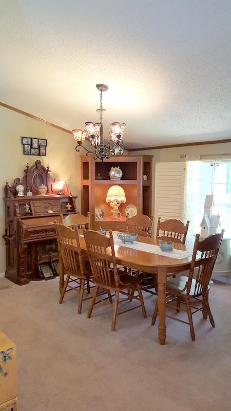 3205 Baker Rd, Gainesville, GA 30507 photo 17