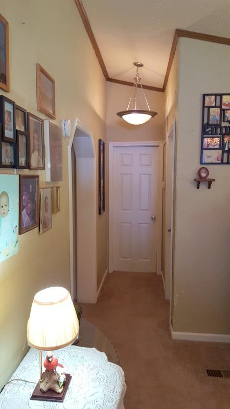 3205 Baker Rd, Gainesville, GA 30507 photo 18