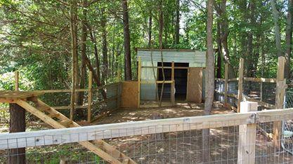 3205 Baker Rd, Gainesville, GA 30507 photo 7