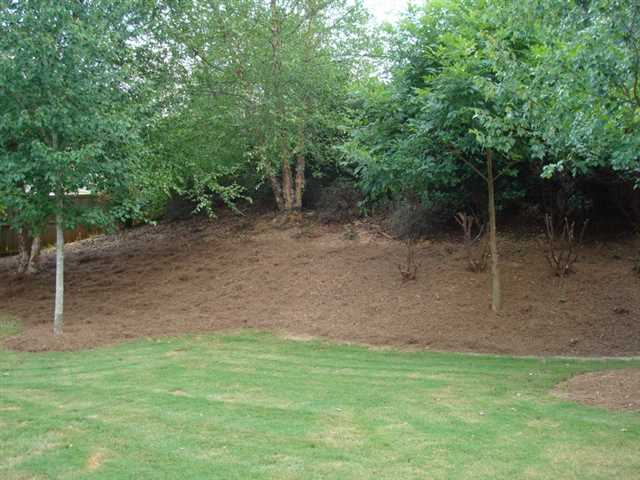 734 Berkeley Ter, Canton, GA 30115 photo 20
