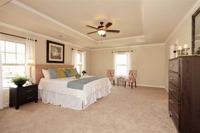 148 Belgian Ct, Hampton, GA 30228 photo 10