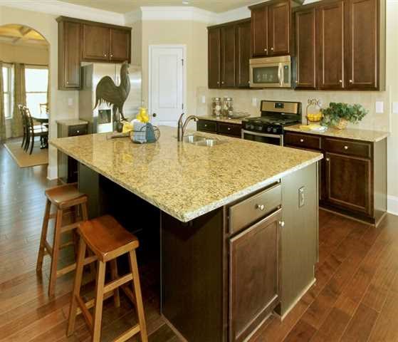 148 Belgian Ct, Hampton, GA 30228 photo 9
