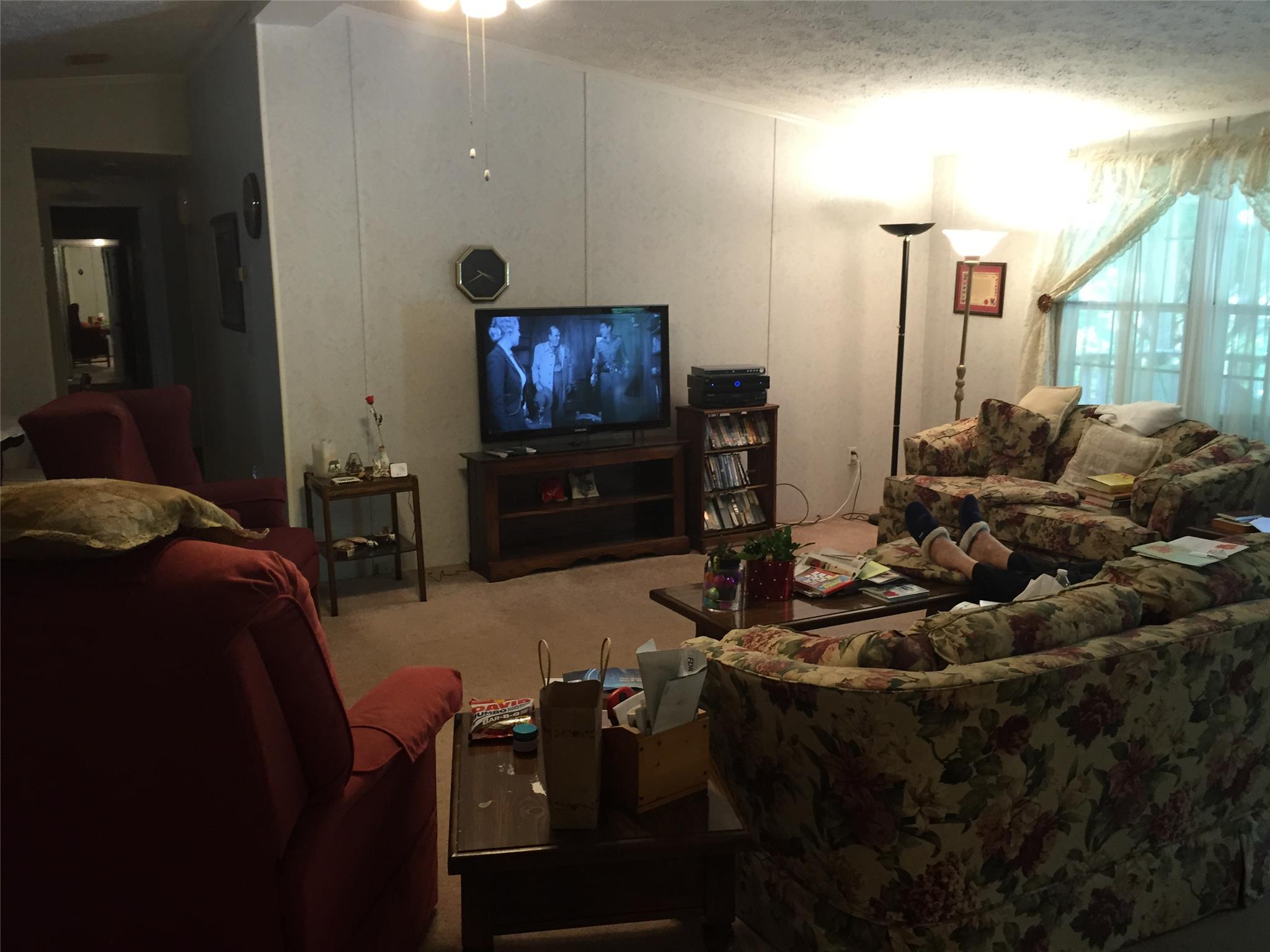 196 Glen Echo Dr, Jackson, GA 30233 photo 9
