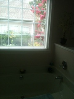3977 Sidney Lanier Blvd, Duluth, GA 30096 photo 10