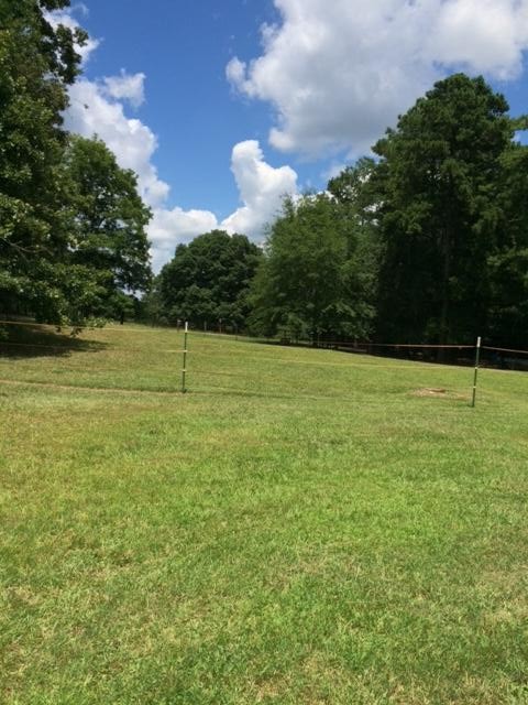 484 Almon Rd, Covington, GA 30014 photo 21