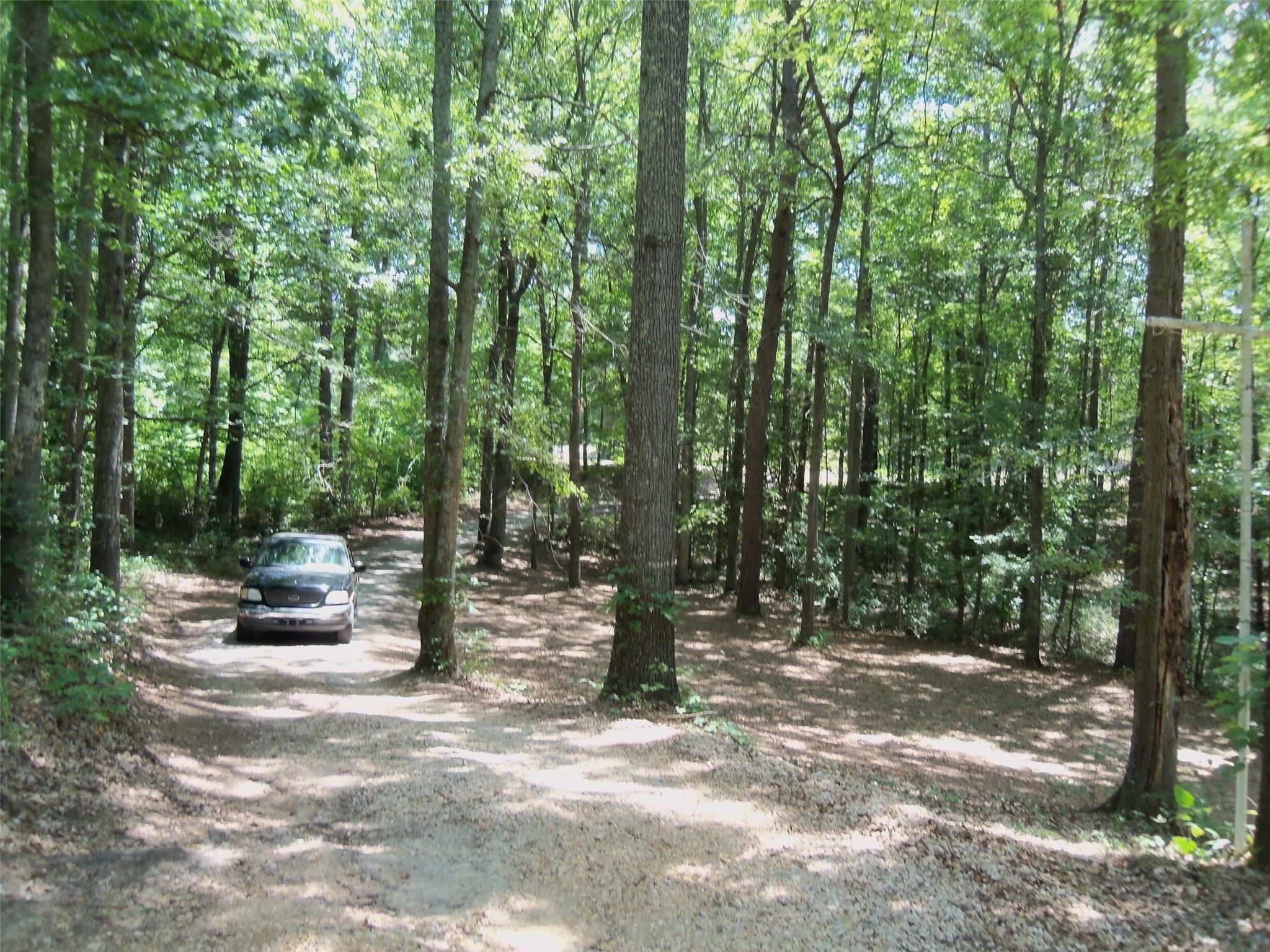 172 Ambrose Cir, Jackson, GA 30233 photo 4