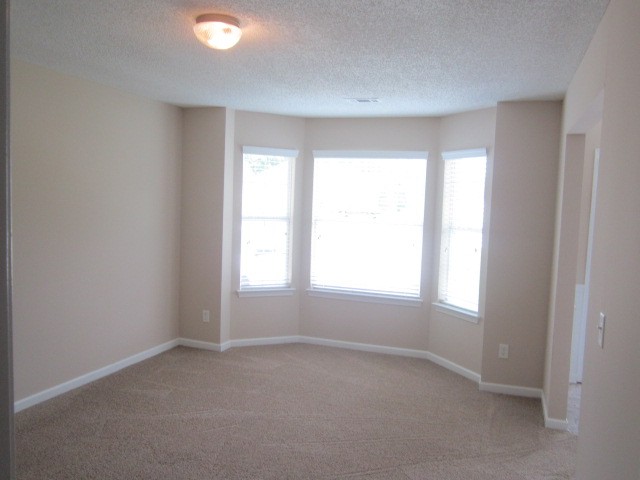 138 Madisyn Dr, Hampton, GA 30228 photo 2