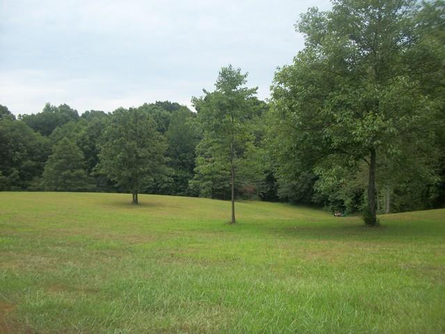 102 Stapp Ln, Carnesville, GA 30521 photo 3