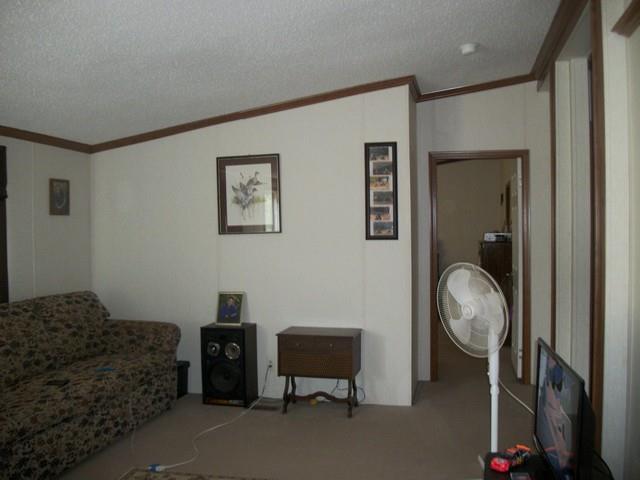 102 Stapp Ln, Carnesville, GA 30521 photo 6