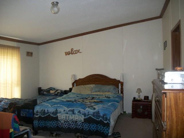 102 Stapp Ln, Carnesville, GA 30521 photo 13