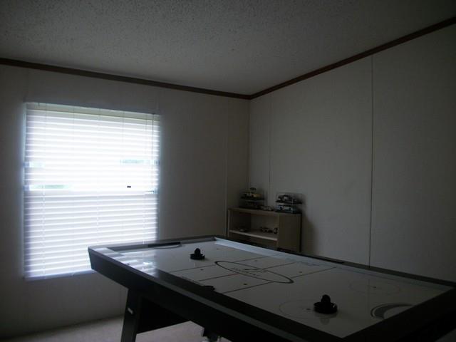 102 Stapp Ln, Carnesville, GA 30521 photo 10