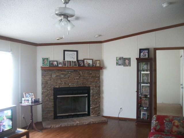 102 Stapp Ln, Carnesville, GA 30521 photo 9