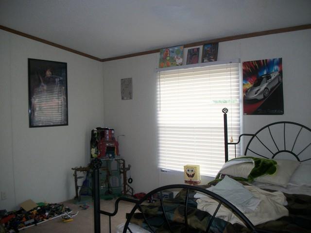 102 Stapp Ln, Carnesville, GA 30521 photo 7