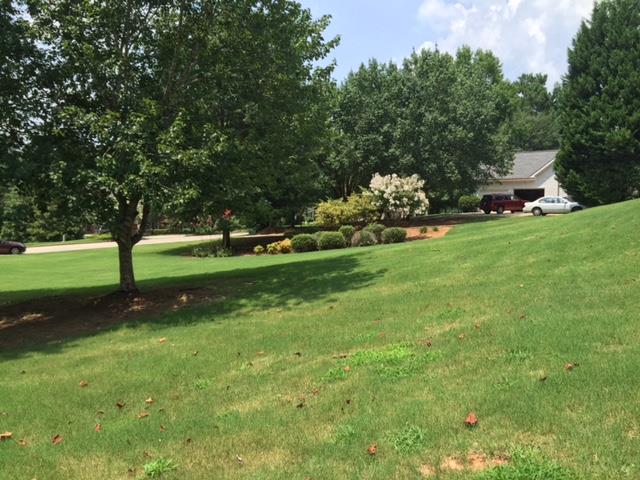 442 Pates Lake Ct, Hampton, GA 30228 photo 3