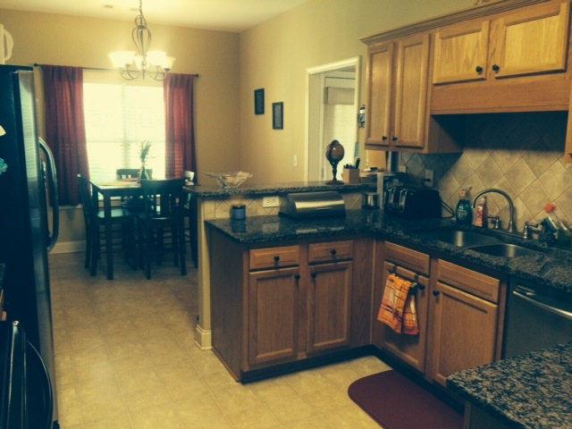 312 Daffodil Dr, Temple, GA 30179 photo 3
