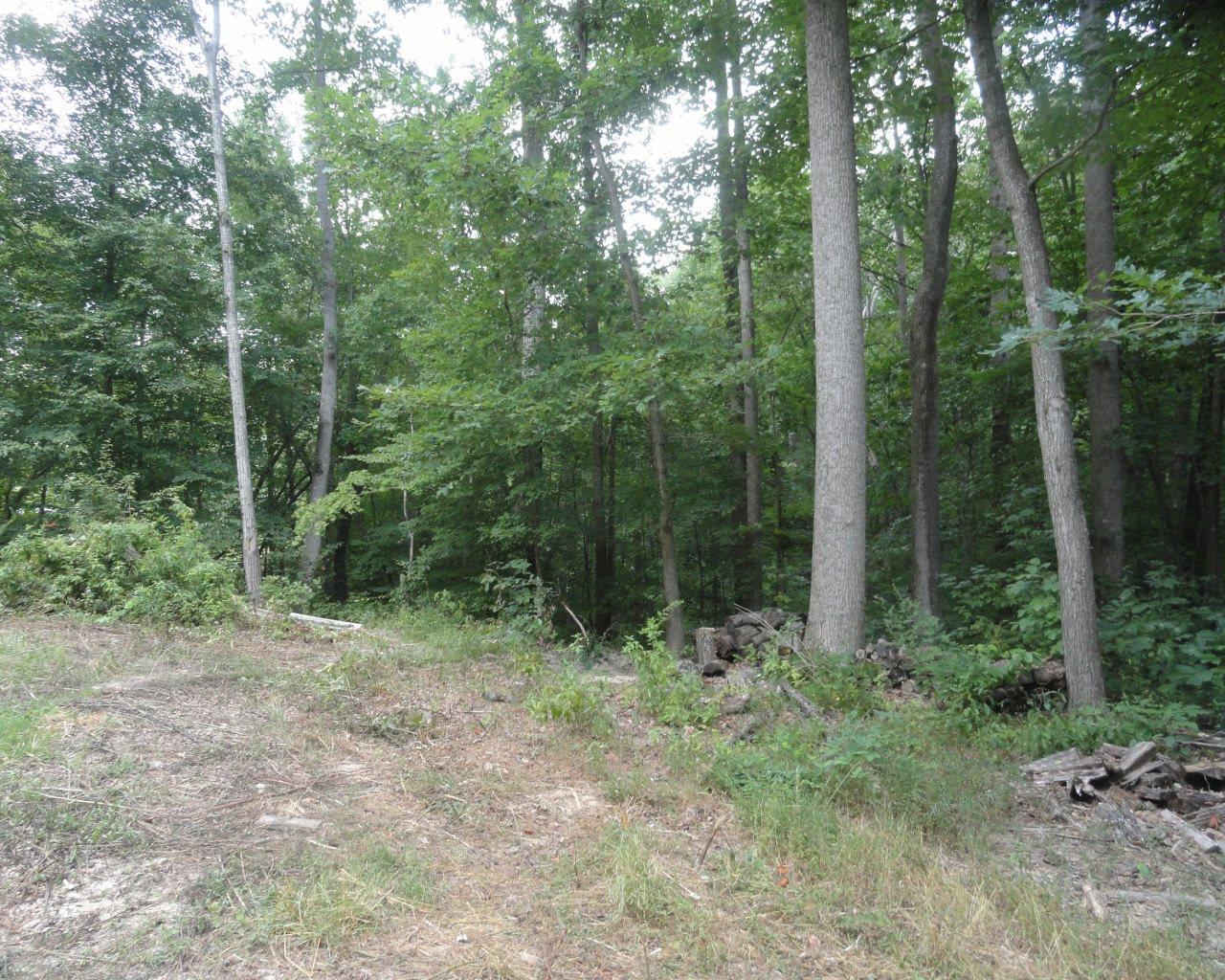 868 Garrison Rd, Lula, GA 30554 photo 11