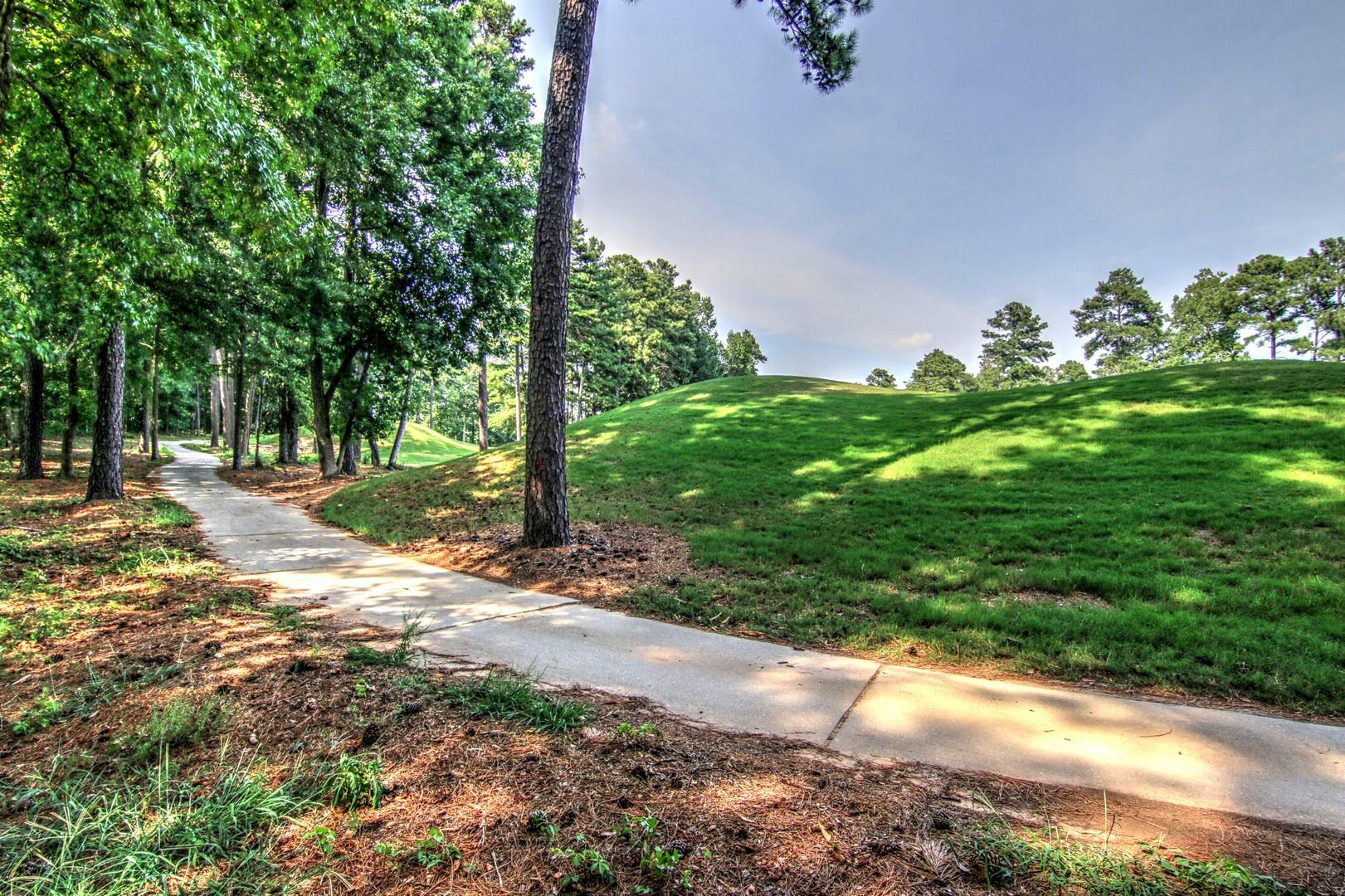 10111 Malcolm Ct, Covington, GA 30014 photo 21