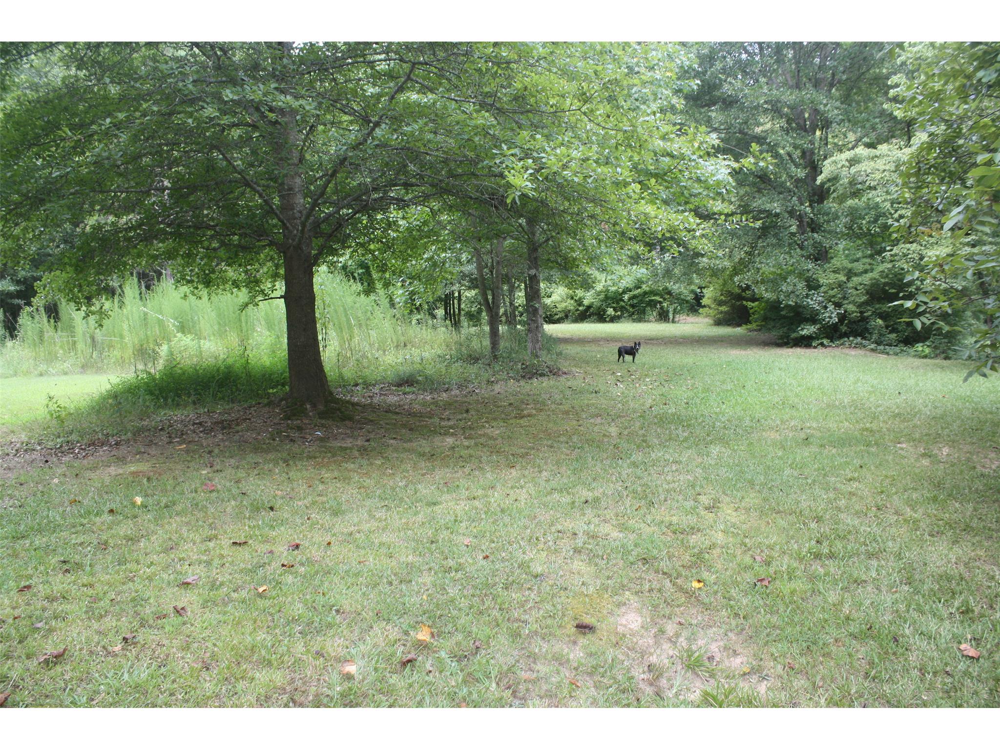 166 Lakeview Rd, Toccoa, GA 30577 photo 3