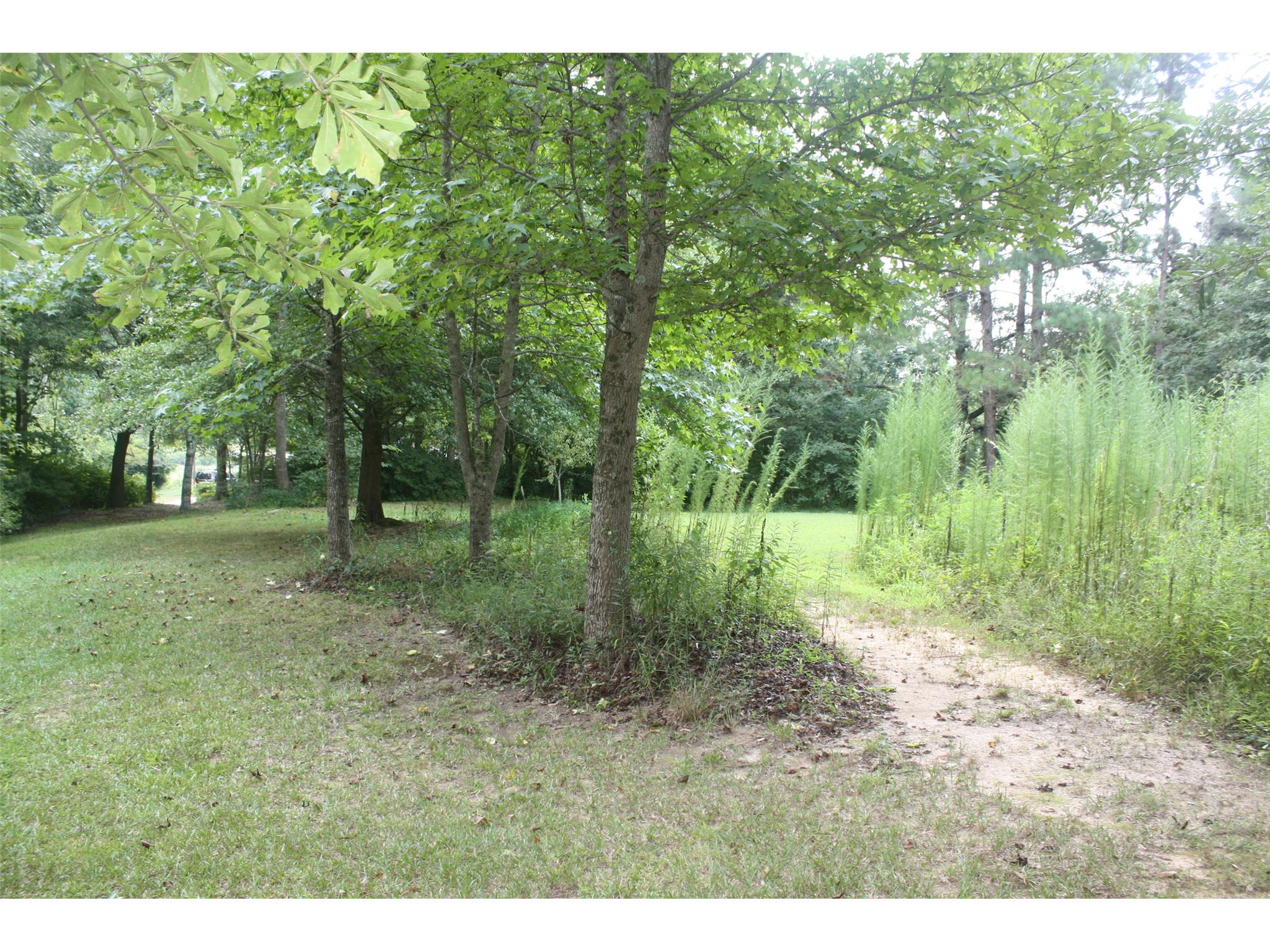 166 Lakeview Rd, Toccoa, GA 30577 photo 2