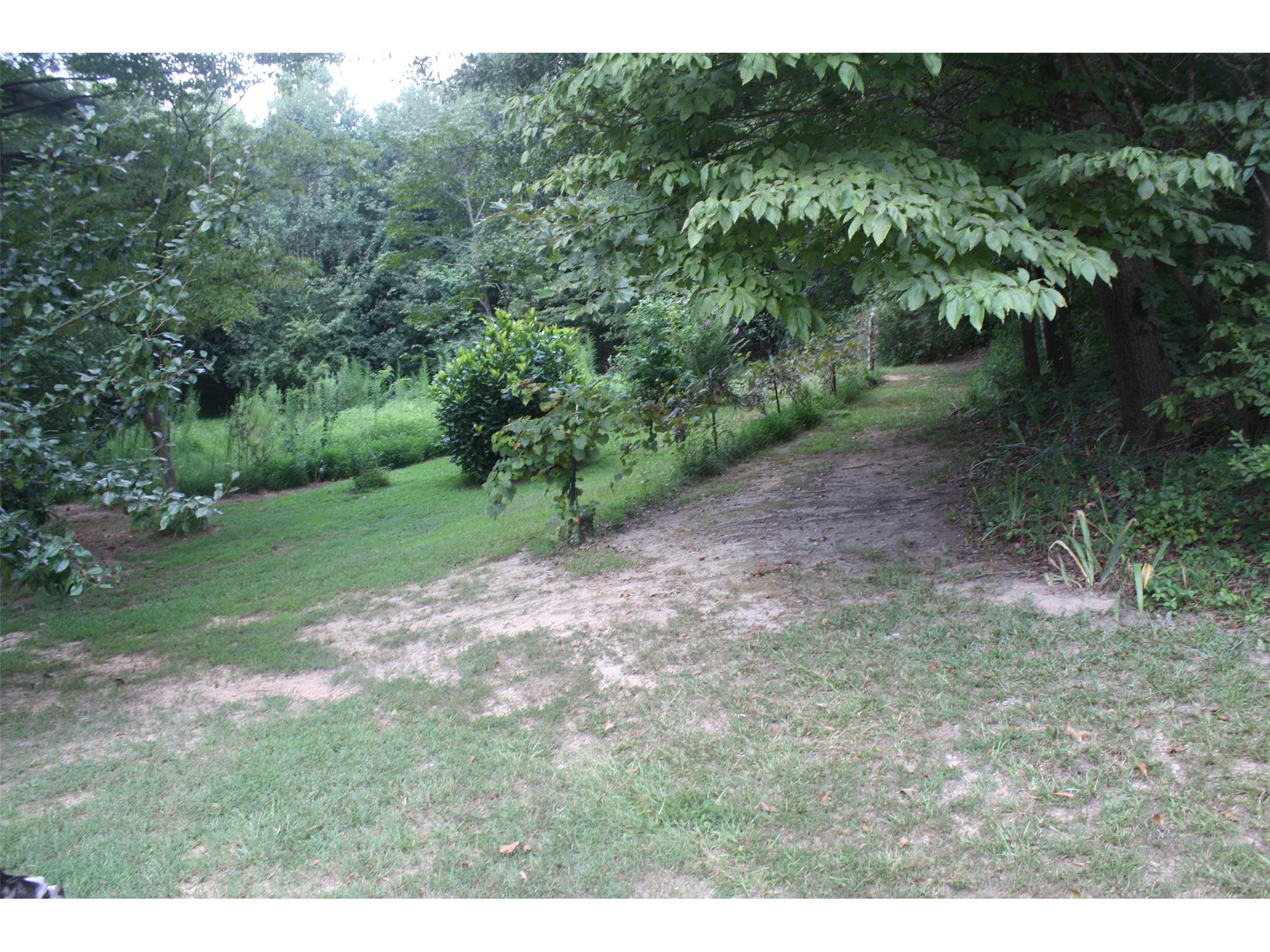 166 Lakeview Rd, Toccoa, GA 30577 photo 7