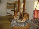 310 Redmond Rd, Guyton, GA 31312 photo 4