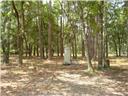 310 Redmond Rd, Guyton, GA 31312 photo 12