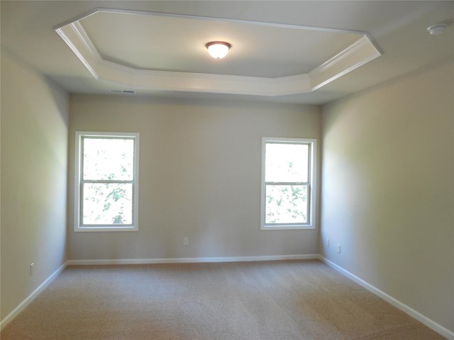 7320 Silk Tree Pt, Braselton, GA 30517 photo 17