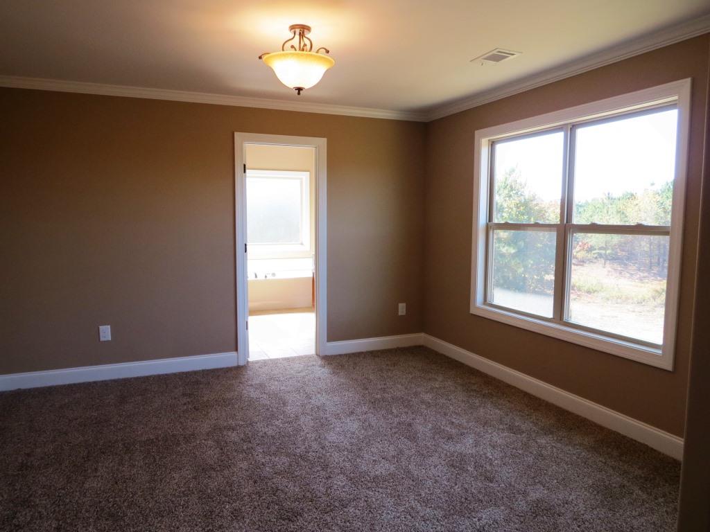 712 Weathersby Chase, Hampton, GA 30228 photo 15