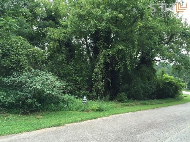 3243 Hall Dr, Gainesville, GA 30501 photo 1
