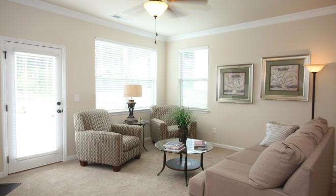 1203 Pebble Rock Rd, Hampton, GA 30228 photo 5