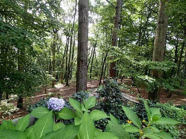 101 Outback Rdg, Jasper, GA 30143 photo 3