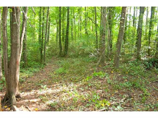 745 Moore St, Jasper, GA 30143 photo 17