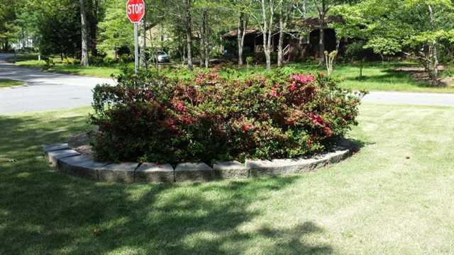 2204 Thicket Ct, Suwanee, GA 30024 photo 4
