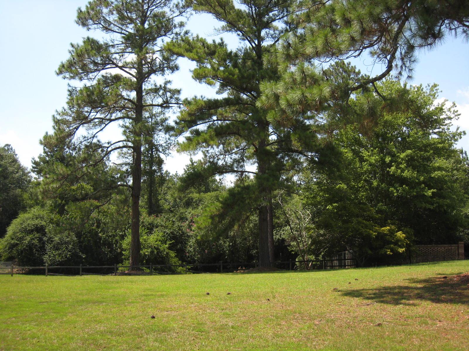 2025 Northside Rd, Perry, GA 31069 photo 14